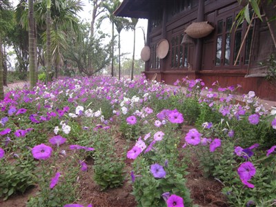 Thiết kế, thi công vườn sinh thái tại Vĩnh Thịnh, Vĩnh Phúc